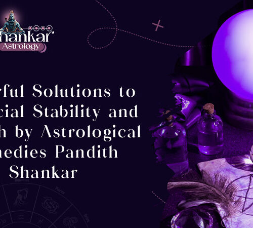 Powerful Solutions to Financial Stability and Growth by Astrological Remedies Pandith Shankar