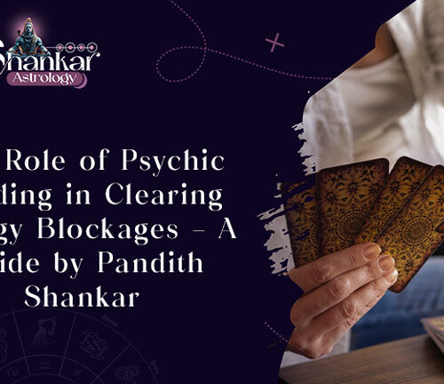 The Role of Psychic Reading in Clearing Energy Blockages – A Guide by Pandith Shankar
